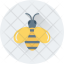 Honey Bee  Icon