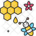 A Honey Comb And Bee Honey Comb Bee Icon