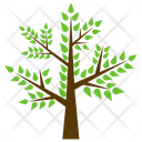 Honey Locust Tree Icon