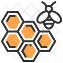 Honeycomb Hole Honey Bee Icon