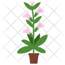 Honeysuckle Potted Plant Icon