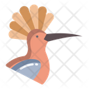 Hoopoe Birds Bird Icon