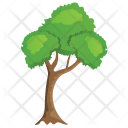 Horn beam Tree Icon