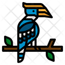 Hornbill Fauna Feather Icon