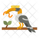 Hornbill Bird Icon