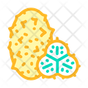 Horned Melon Icon