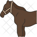 Horse Equine Domestic Icon