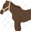 Horse Equine Domestic Icon