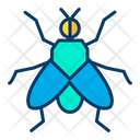 House Fly Icon