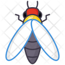 Housefly Icon
