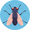 Housefly Fly Insect Icon
