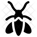 Housefly Icon