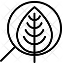Hr Generalist  Icon