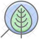 Hr Generalist  Icon