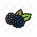 Huckleberry Icon