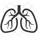 Human Lung Lungs Icon