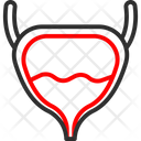 Human Bladder  Icon