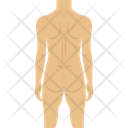Human Body Naked Nude Icon