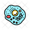Human Cell Icon