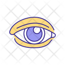 Human Eye Human Eye Icon