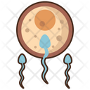Human Fertilization Icon