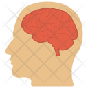 Human Head Natural Icon