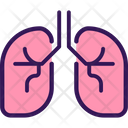 Medicine Lungs Organ Icon
