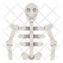 Human Skeleton Icon