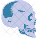 Human Skull Icon