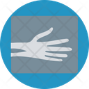 Human Spine Bones Backbones Hand Bones Icon