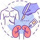Organ Trade Transplant Icon