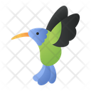 Hummingbird Bird Animal Icon