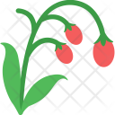 Hyacinth  Icon