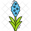 Hyacinth  Icon