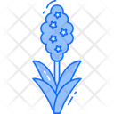 Hyacinth Icon