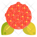 Hydrangea Flower Spring Flower Icon