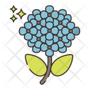 Hydrangea Icon