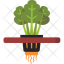 Hydrokultur Setzlingsschale Symbol