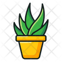 Indoor Plant Icon