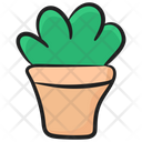 Plant Desert Plant Decorative Plant Icon