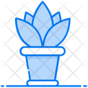 Indoor Plant Flower Pot Potted Plant Icon