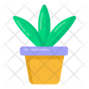 Indoor Plant Icon