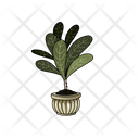 Indoor Plants For Decoration Available In Vector Icon