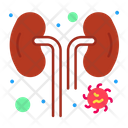 Infected Kidney Icon