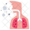 Lung Medical Health Icon