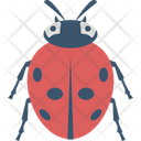 Fly Insect Bee Icon