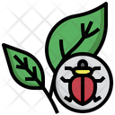 Insect  Icon