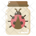 Insects  Icon
