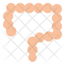Intestines Appendicitis Intestine Icon
