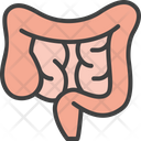 Intestines Digestion Organ Icon